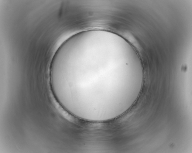 X0000091571431200709100947