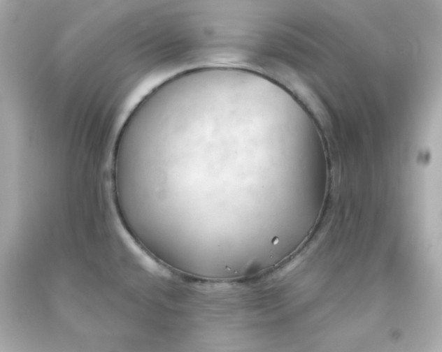 X0000091571432200709100947