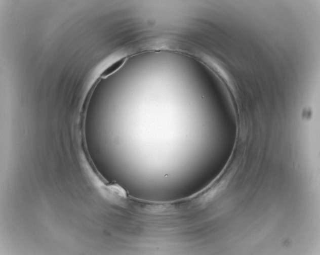 X0000091571434200709100947