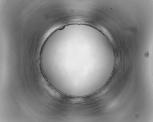 X0000091571435200709100947