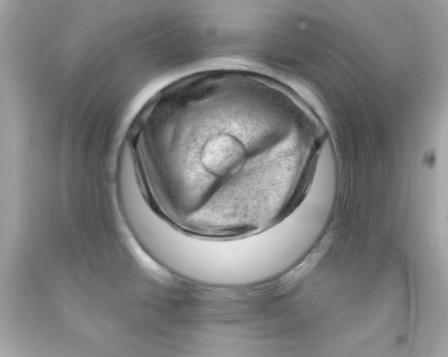 X0000091571438200709100947