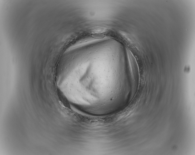 X0000091571441200709100946