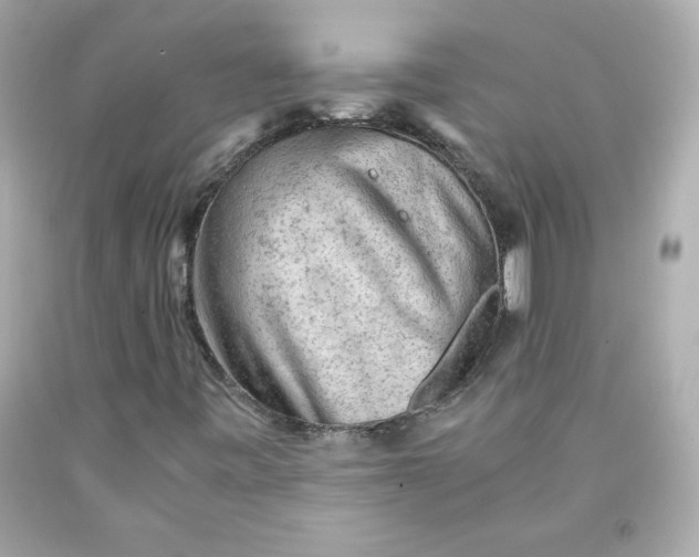 X0000091571443200709100946