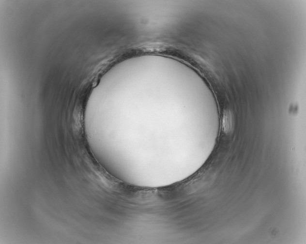 X0000091571444200709100946