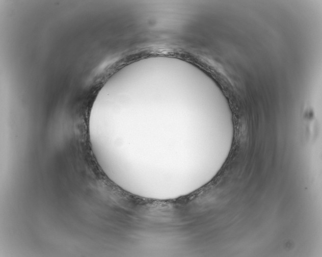 X0000091571446200709100946