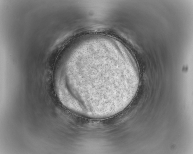 X0000091571447200709100946