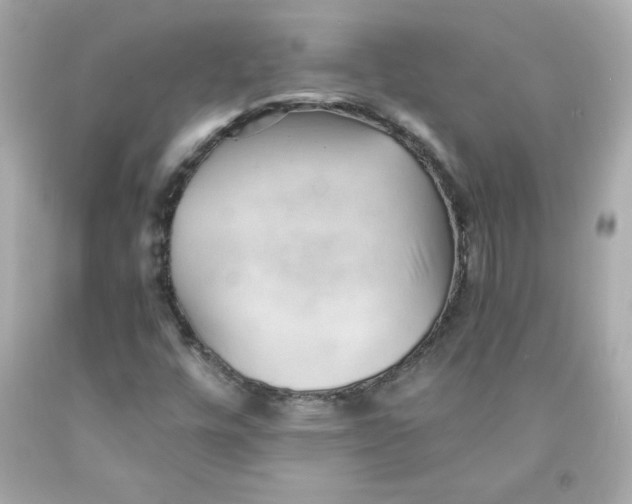 X0000091571448200709100946