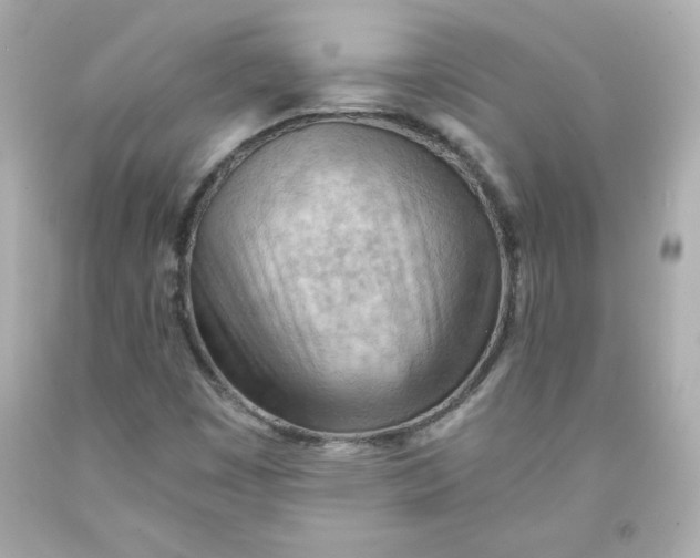 X0000091571449200709100946