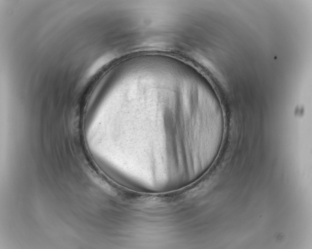 X0000091571450200709100946