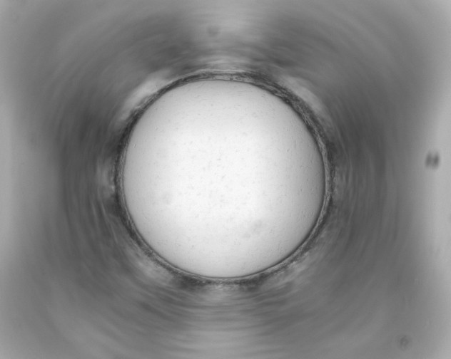 X0000091571451200709100946