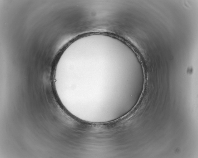 X0000091571452200709100946