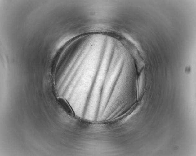 X0000091571453200709100946