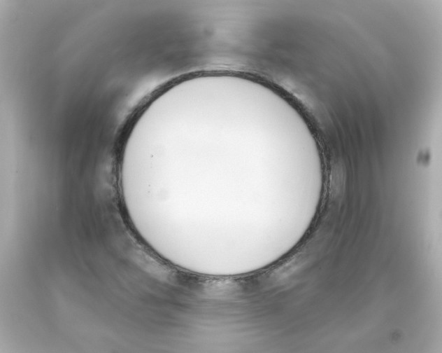 X0000091571454200709100946