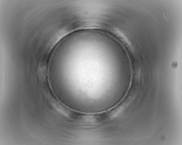 X0000091571457200709100946