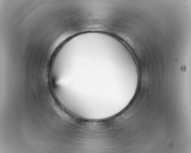 X0000091571458200709100946