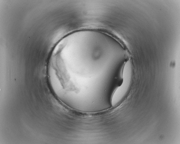 X0000091571459200709100946