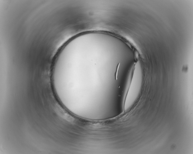 X0000091571460200709100946