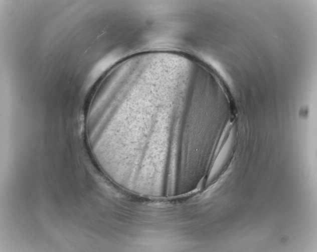 X0000091571461200709100946