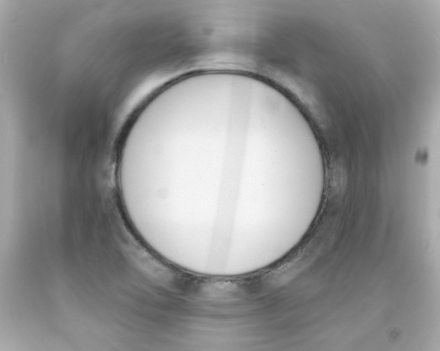 X0000091571462200709100946