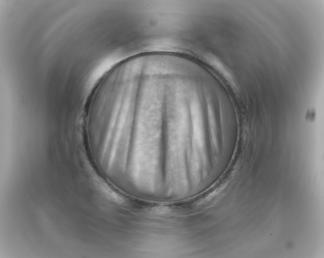 X0000091571463200709100946