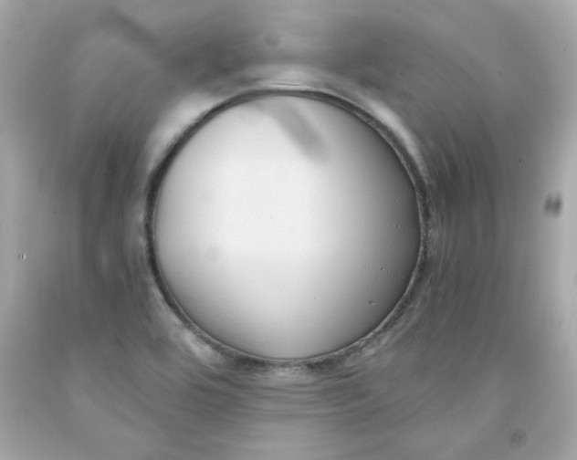 X0000091571464200709100946