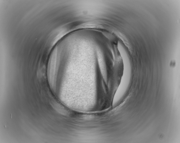 X0000091571465200709100946