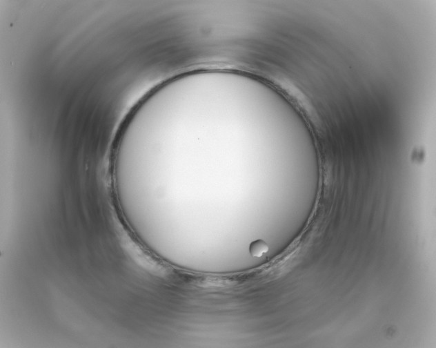 X0000091571466200709100946