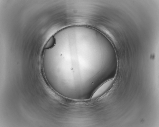 X0000091571467200709100946