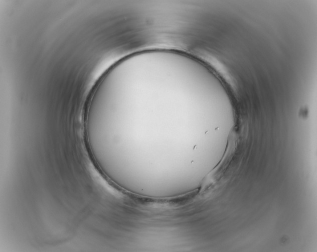 X0000091571468200709100946