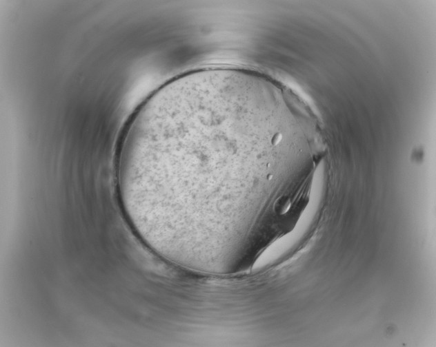 X0000091571469200709100946