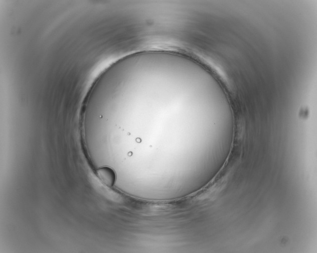 X0000091571471200709100946