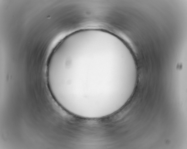 X0000091571472200709100946