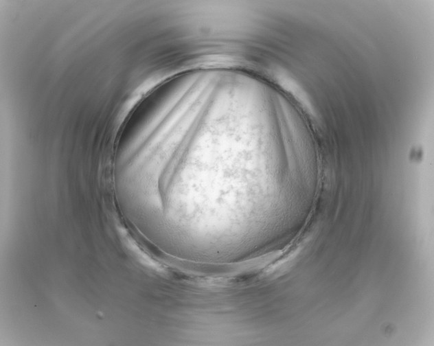 X0000091571473200709100946