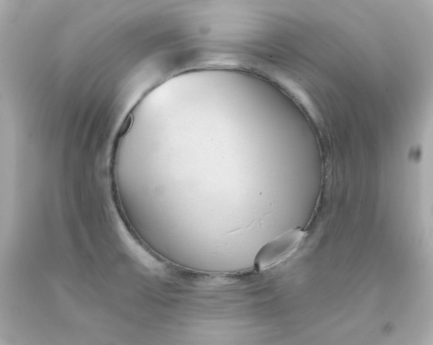 X0000091571475200709100946