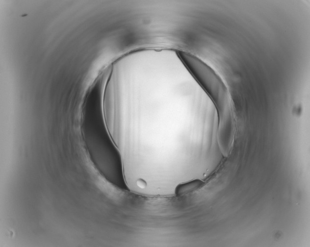 X0000091571477200709100946