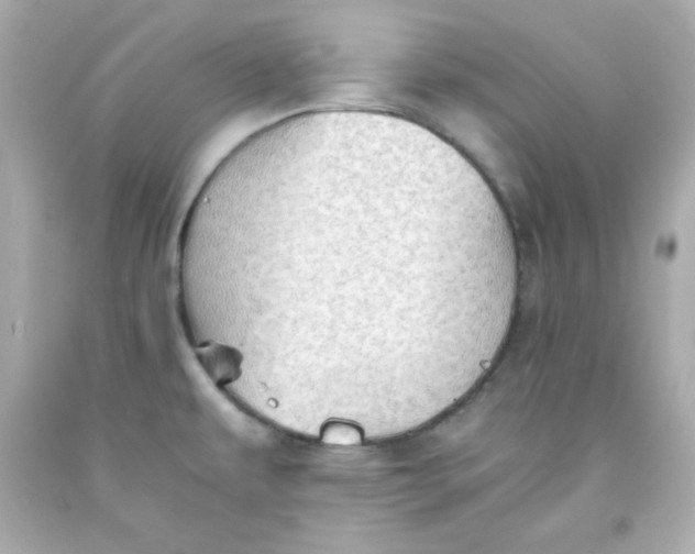 X0000091571479200709100946