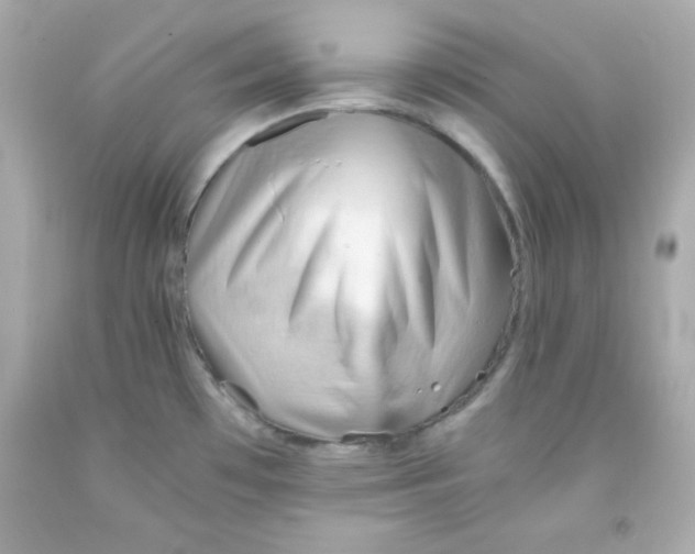 X0000091571481200709100946