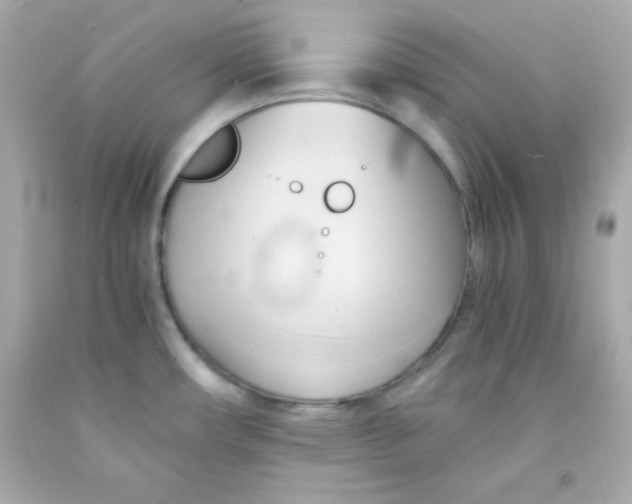 X0000091571482200709100946