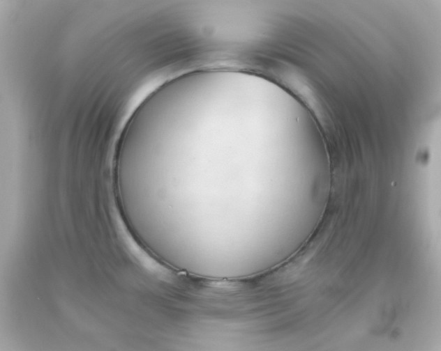 X0000091571483200709100946