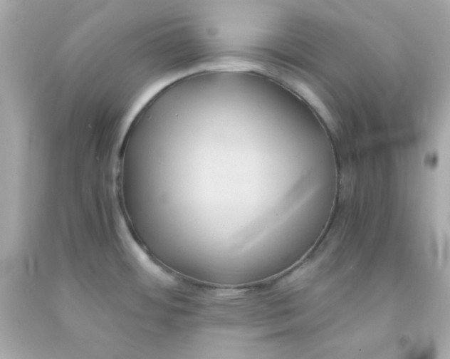 X0000091571484200709100946