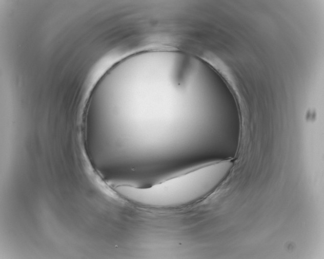 X0000091571488200709100946