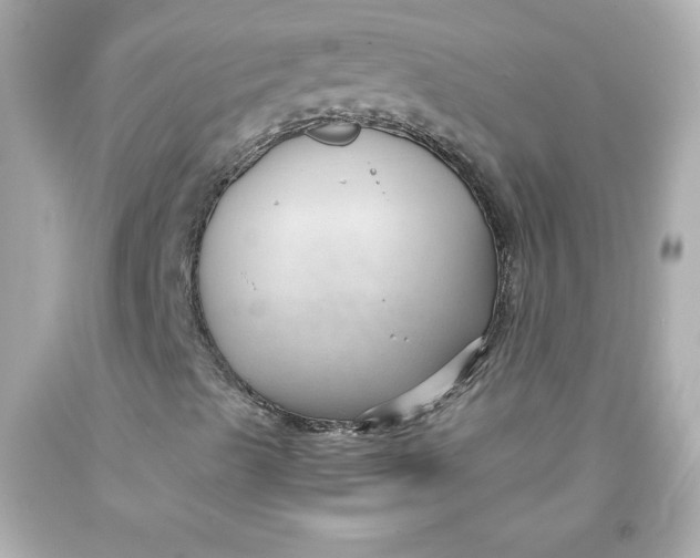 X0000091571489200709100945