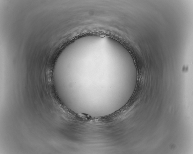 X0000091571490200709100945