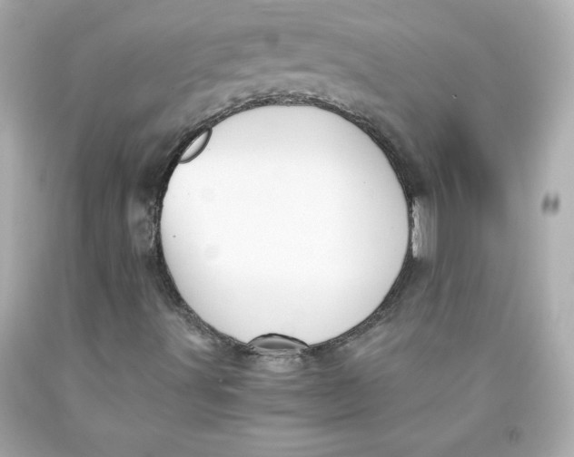 X0000091571491200709100945