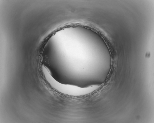 X0000091571496200709100945