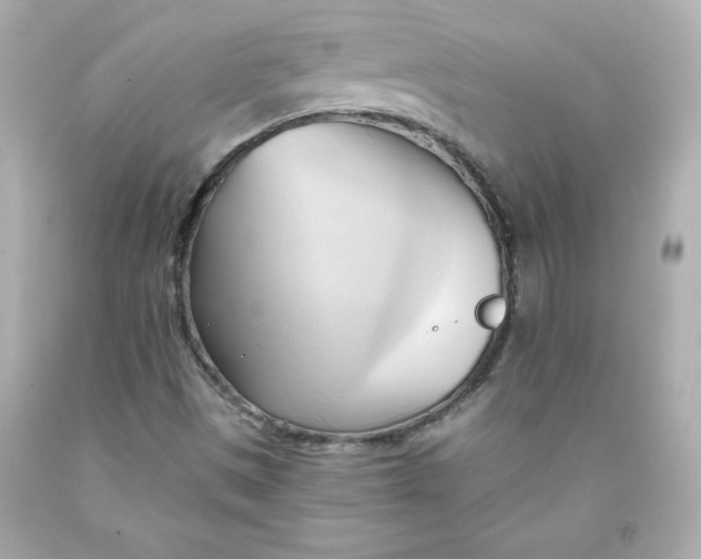 X0000091571497200709100945