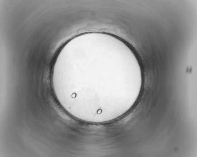 X0000091571498200709100945