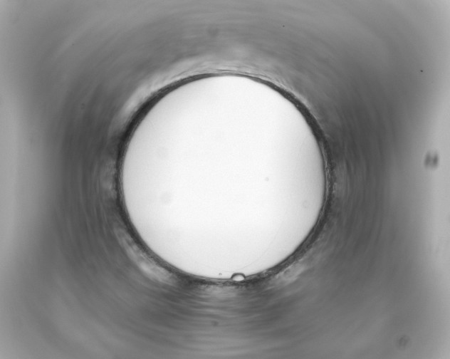 X0000091571499200709100945