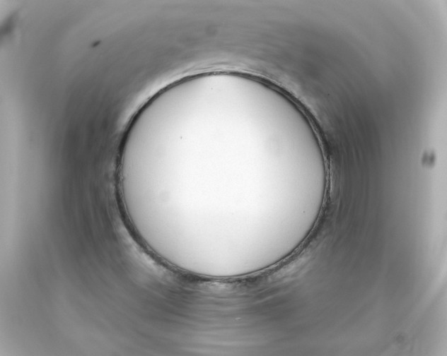 X0000091571500200709100945