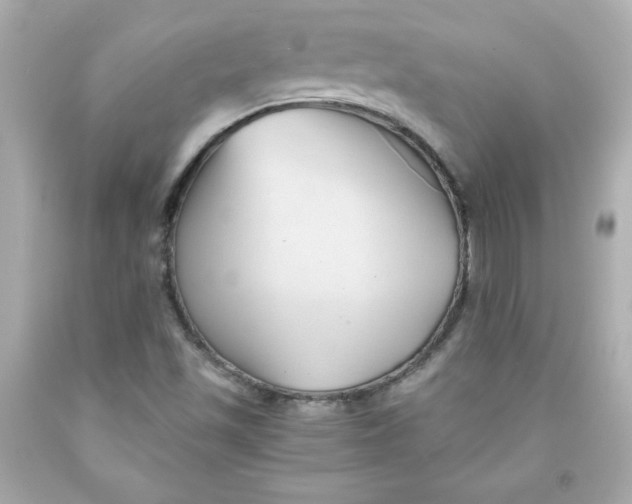 X0000091571501200709100945